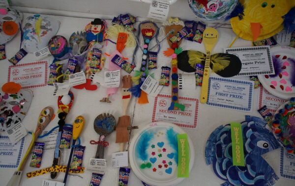 Under 18 / Student Entries